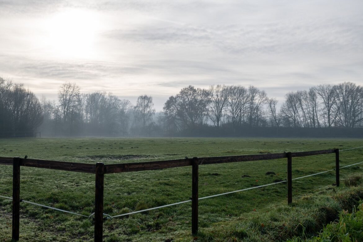 A wooden fence marking the edge of a green field on a misty morning